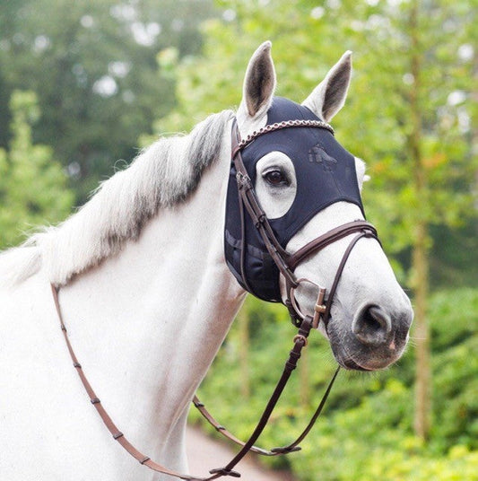 Not Magic — Science: An Honest Guide to the Fenwick Liquid Titanium® Mask