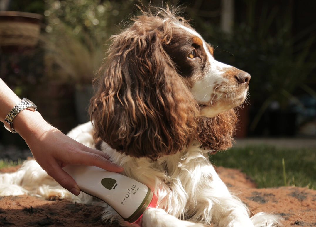 Photizo Vetcare Red Light Therapy Device