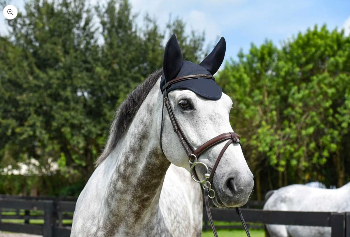 Fenwick Liquid Titanium® Therapeutic Ear Bonnet