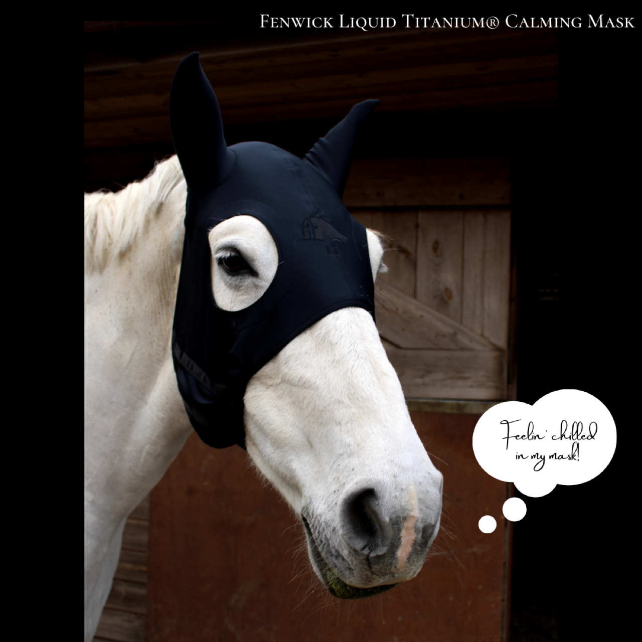 Fenwick Titanium Calming Mask