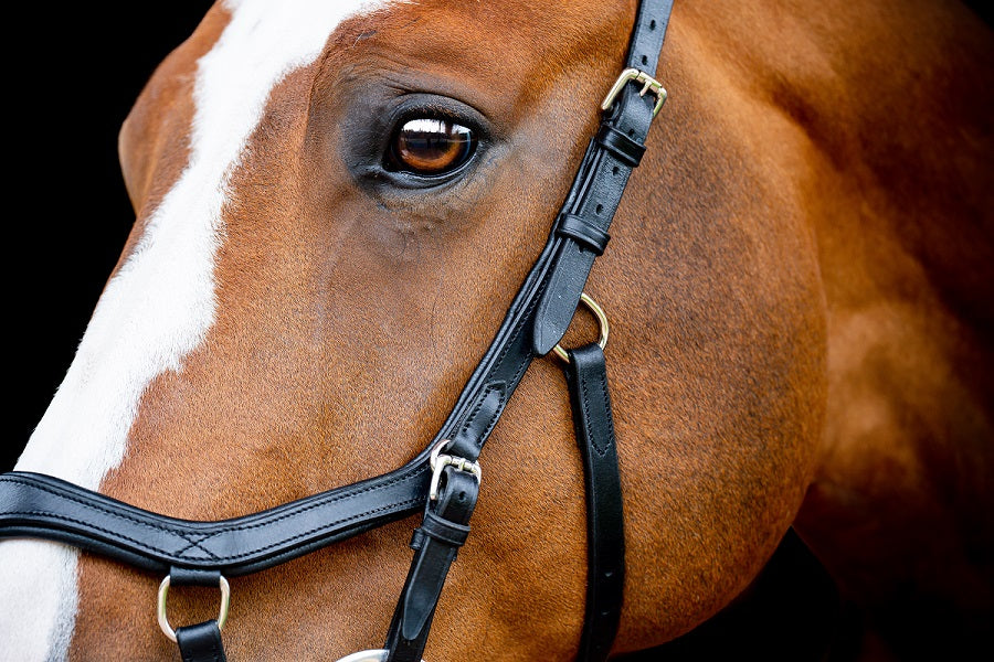 NEW Design 2023 Rambo Micklem Competition Bridle