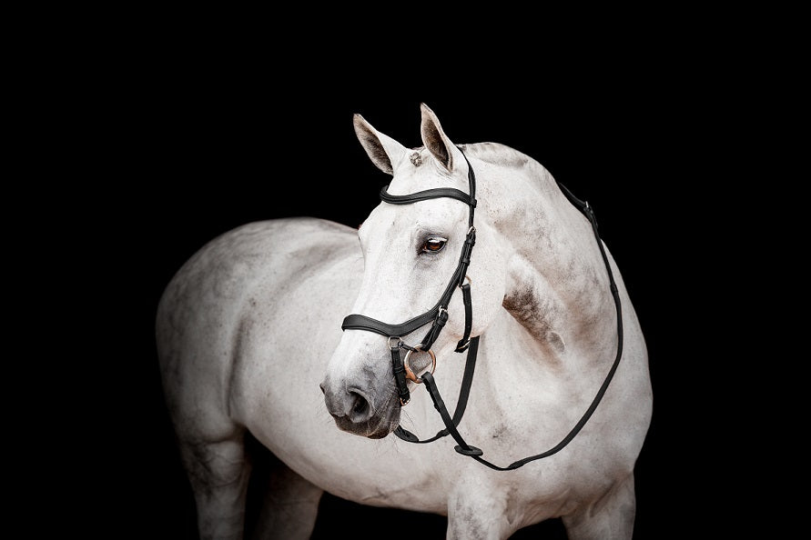 NEW Design 2023 Rambo Micklem Competition Bridle