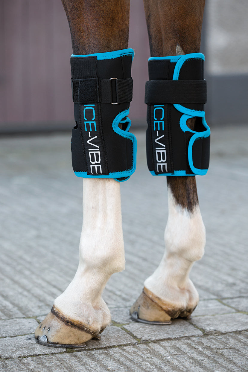 Horseware Ice-Vibe Cool Therapy Massage Hock & Knee Wraps