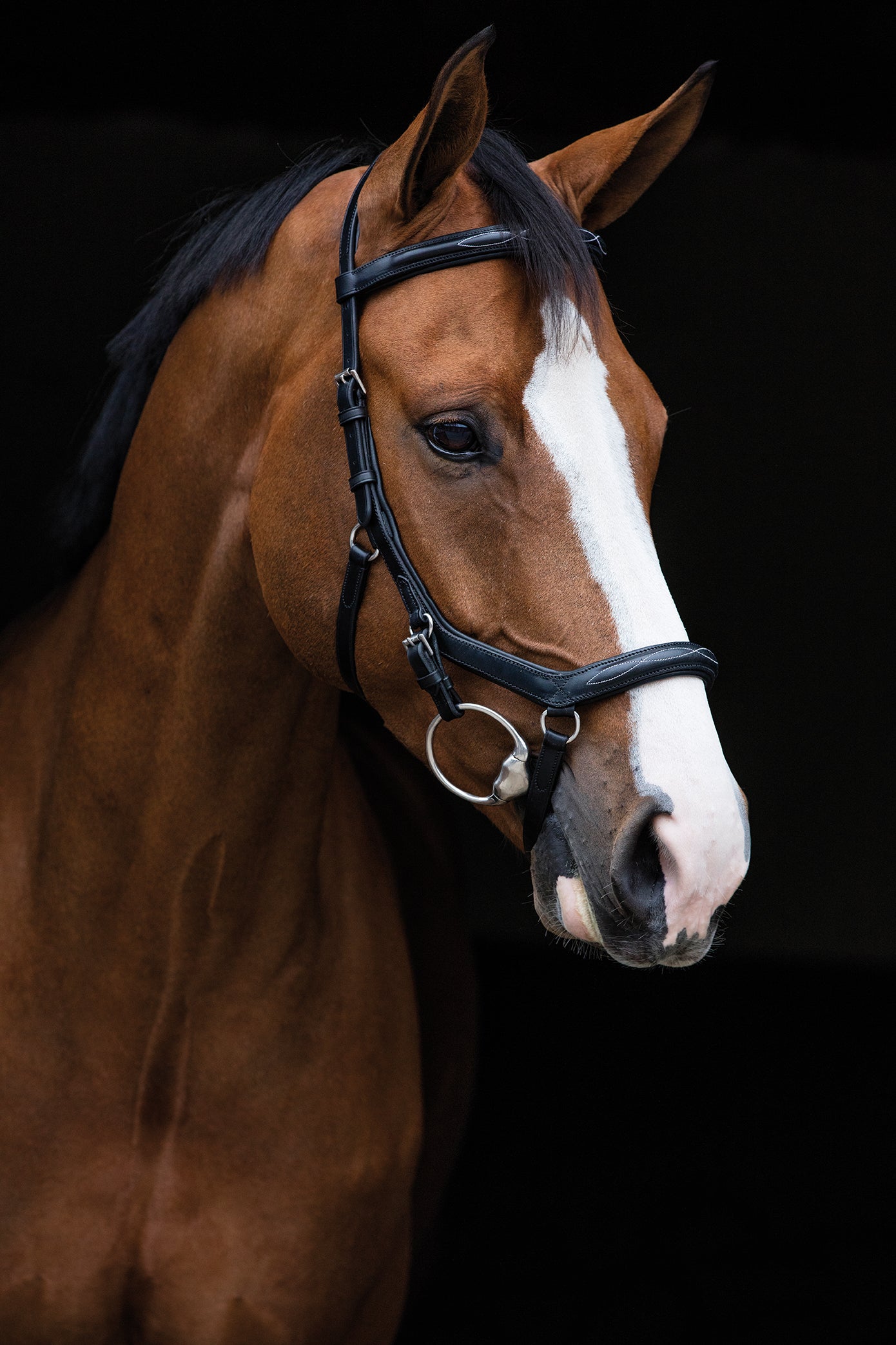 Micklem English Leather Large Horse Competition Bridle Deluxe Brown