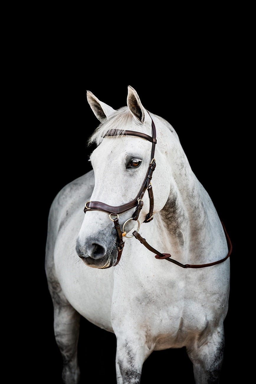 2023 Rambo Micklem 2 Multi Bridle (bitless)