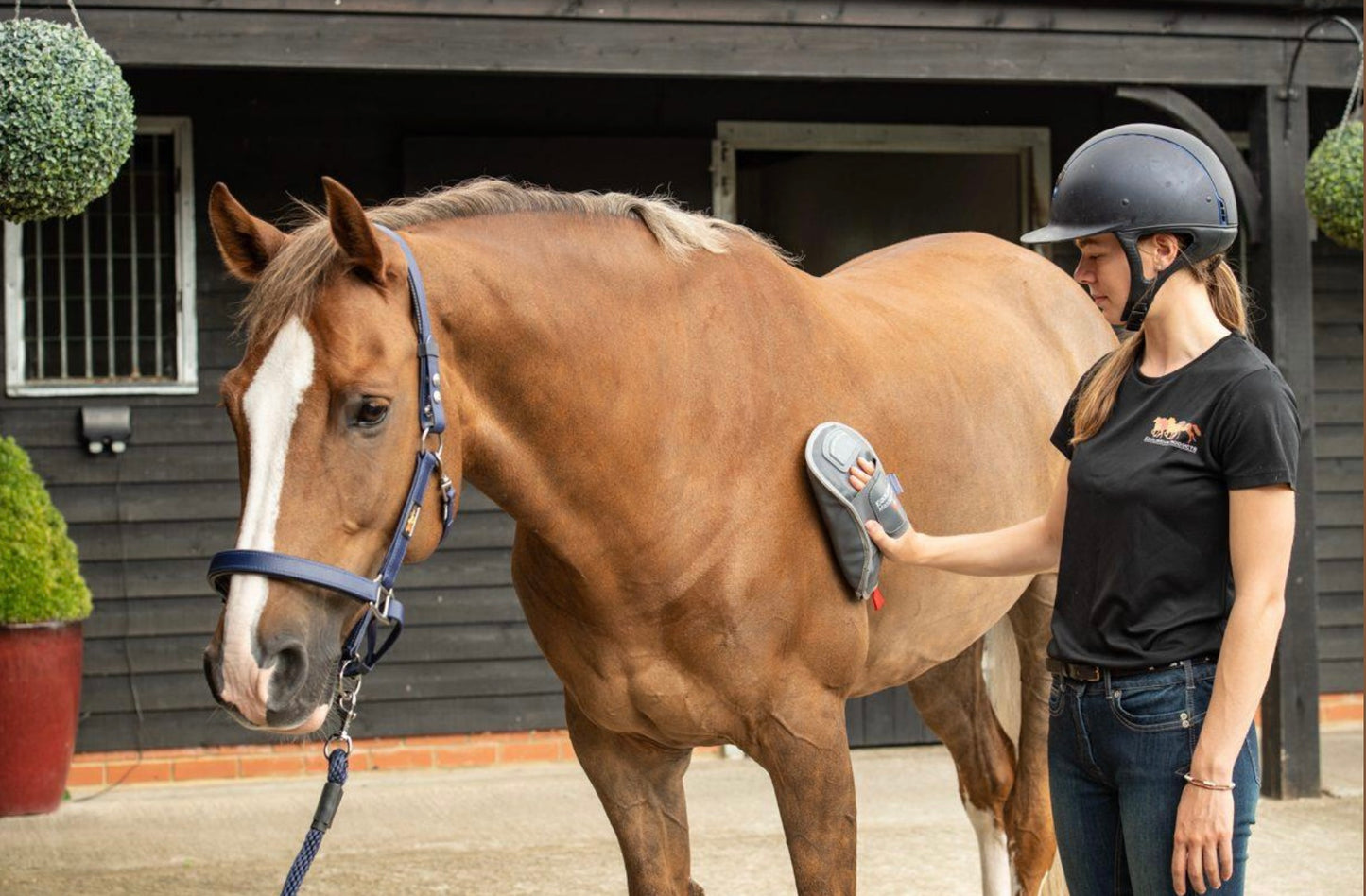 Massage Mitt Hotspot
