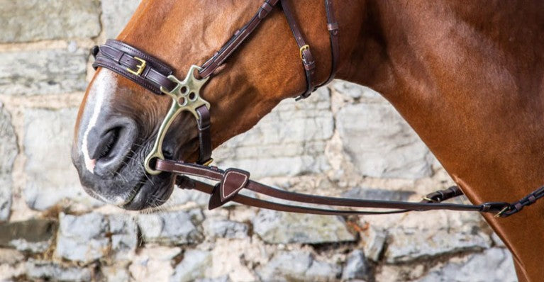 Hackamore, Kineton & Combination Nosebands