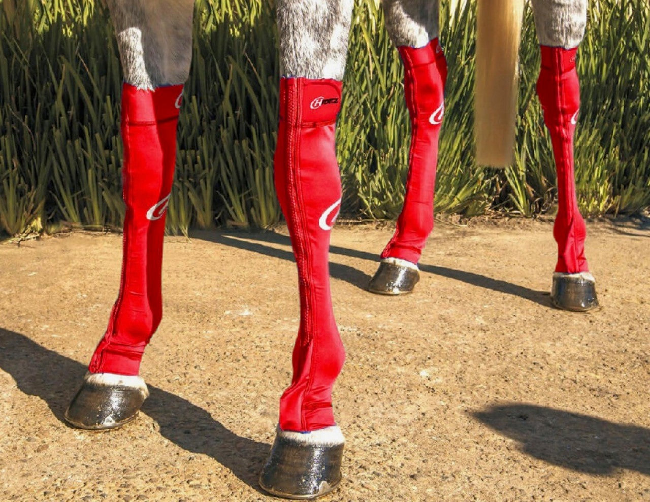 Load video: Fenwick Titanium Mask