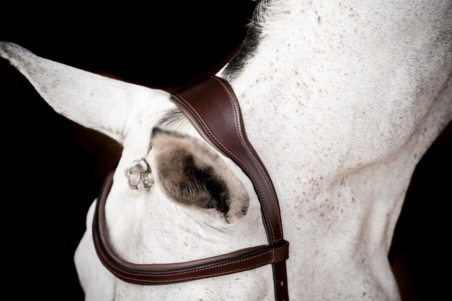 2023 Rambo Micklem 2 Competition Bridle