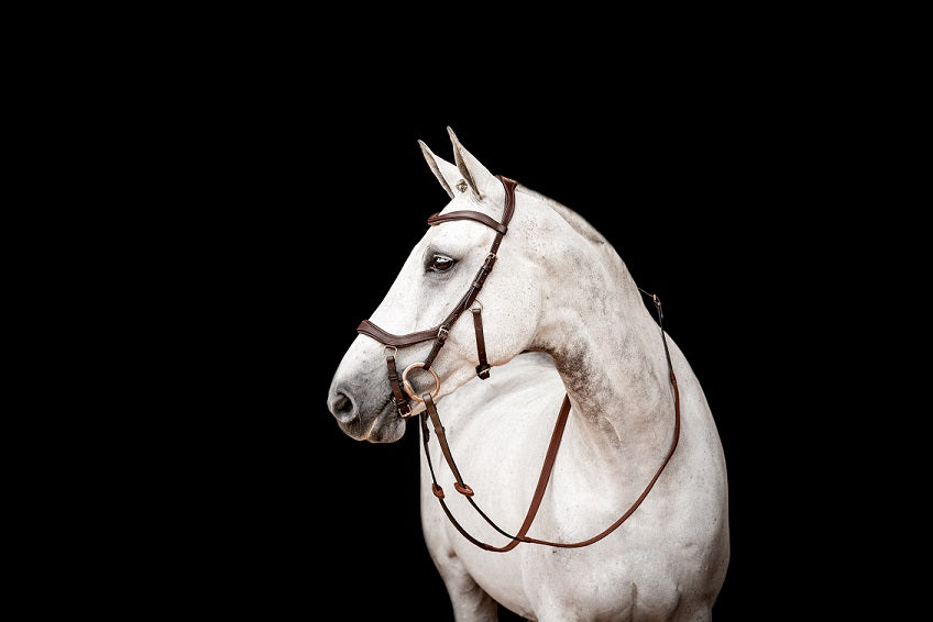 2023 Rambo Micklem 2 Competition Bridle