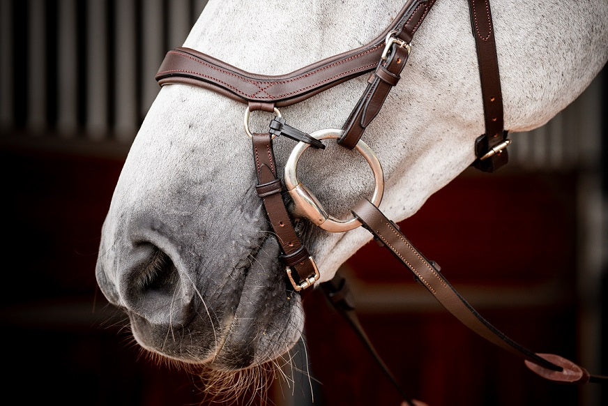 2023 Rambo Micklem 2 Competition Bridle