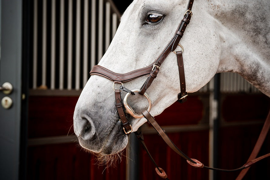 2023 Rambo Micklem 2 Competition Bridle