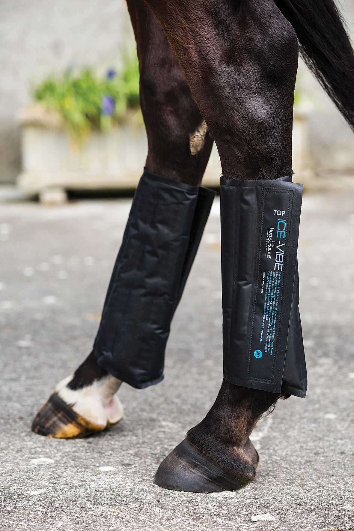 Horseware Ice-Vibe Replacement Cool Packs