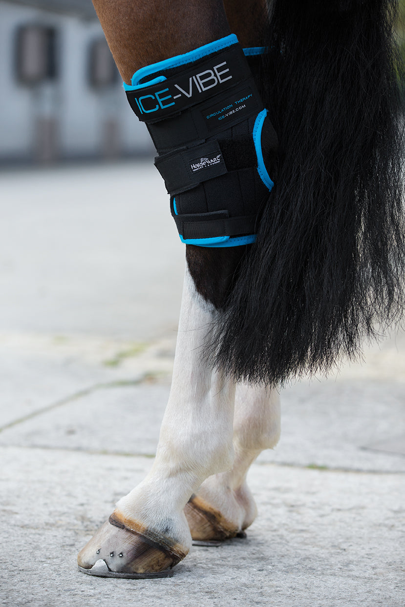 Paire de protège-jarret et genouillère pour cheval Horseware Ice-Vibe by Hw Paire de protège-jarret et genouillère pour cheval Horseware Ice-Vibe by Hw