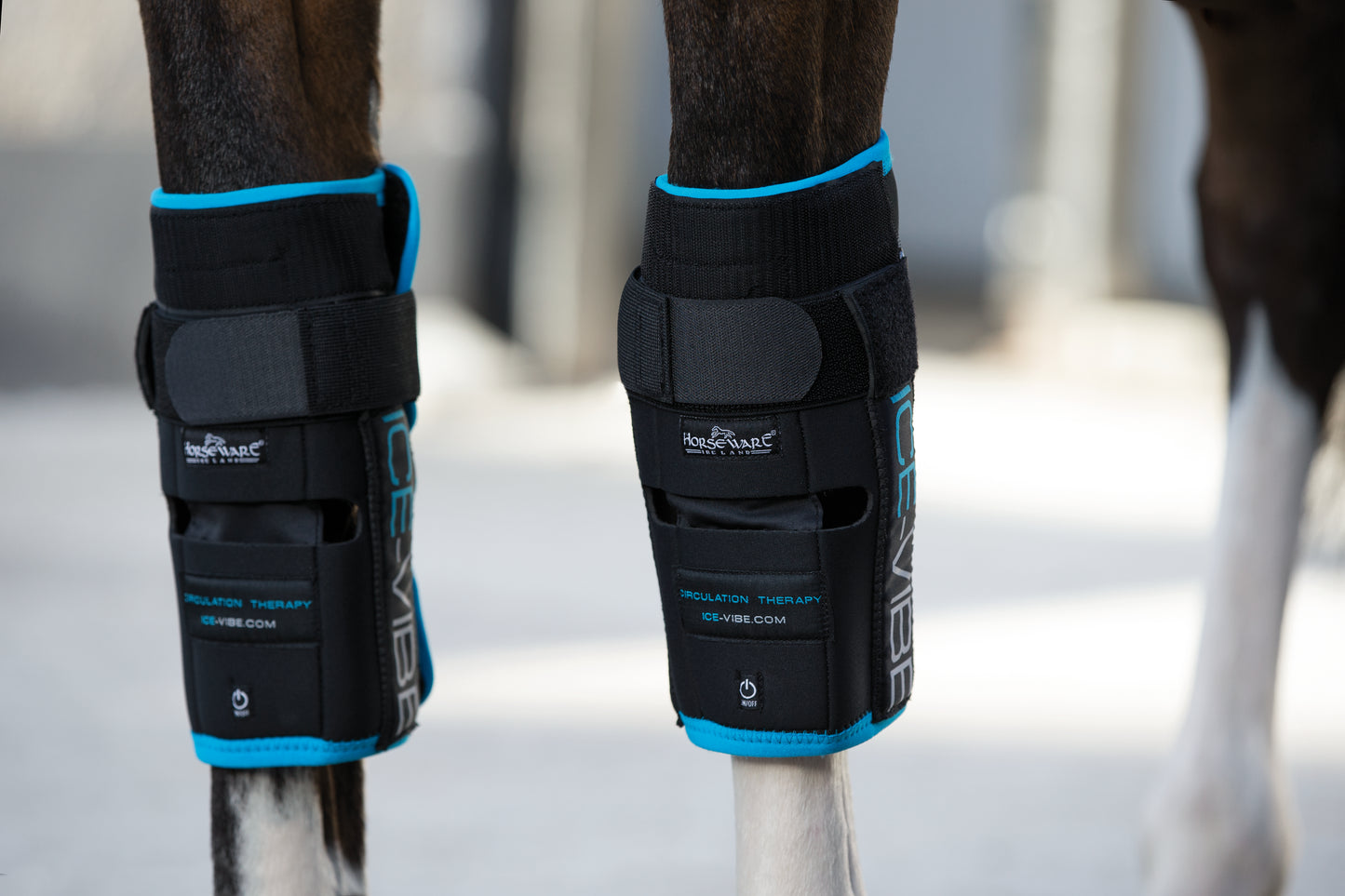 Horseware Ice-Vibe Cool Therapy Massage Hock & Knee Wraps