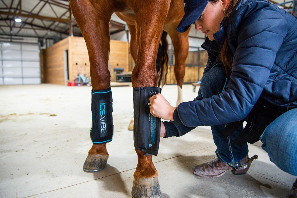 Horseware Ice-Vibe Cool Therapy Massage Boots