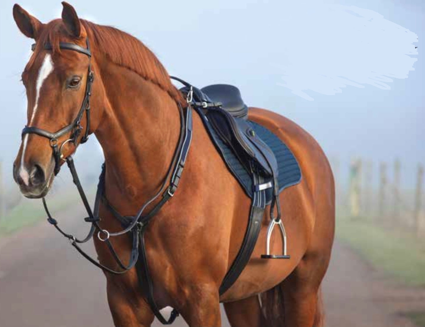 Rambo Micklem 3 Point Breastplate