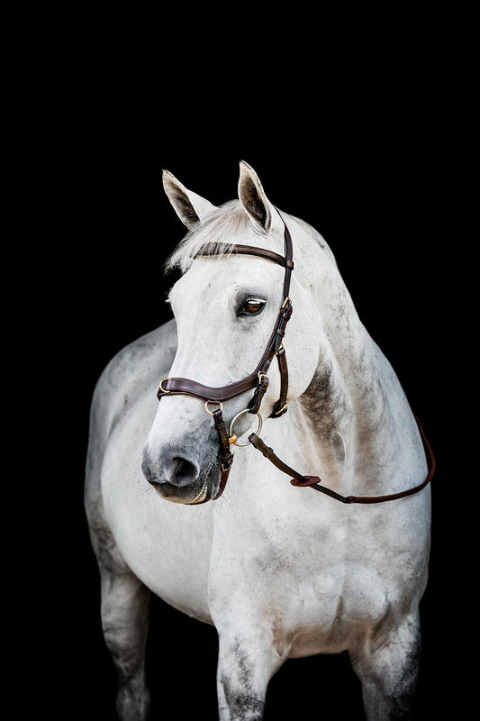 2023 Rambo Micklem 2 Multi Bridle (bitless)