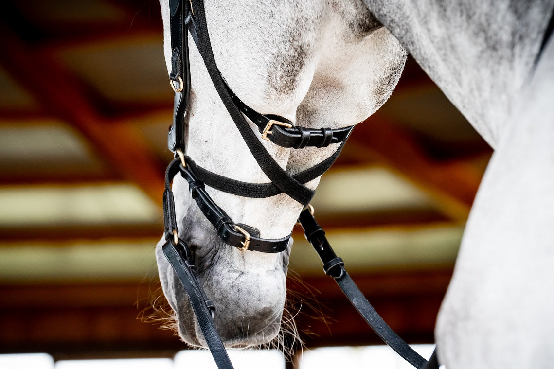 2023 Rambo Micklem 2 Multi Bridle (bitless)