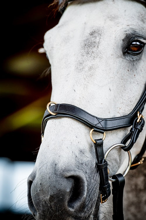 2023 Rambo Micklem 2 Multi Bridle (bitless)