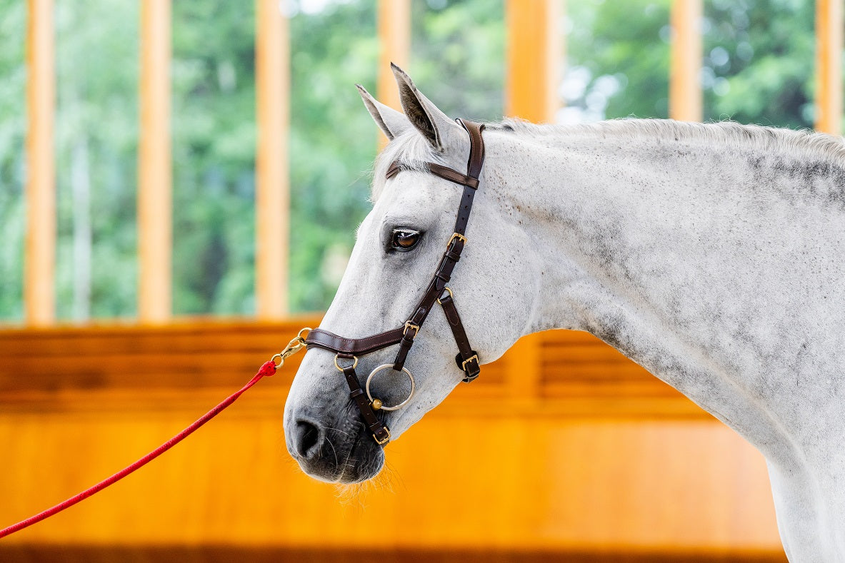 2023 Rambo Micklem 2 Multi Bridle (bitless)