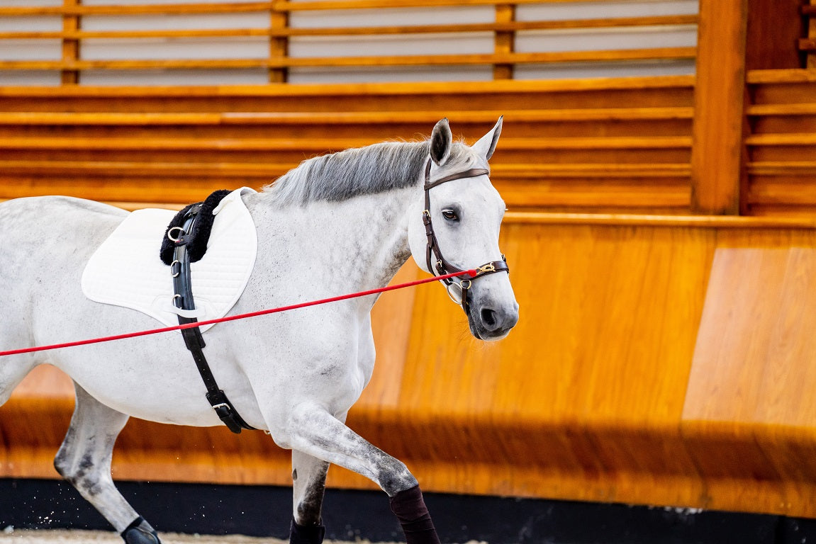 2023 Rambo Micklem 2 Multi Bridle (bitless)