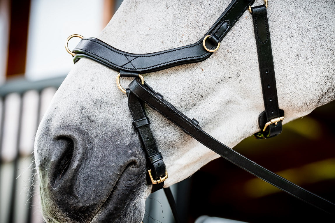 2023 Rambo Micklem 2 Multi Bridle (bitless)